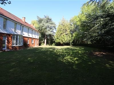 Picture 16